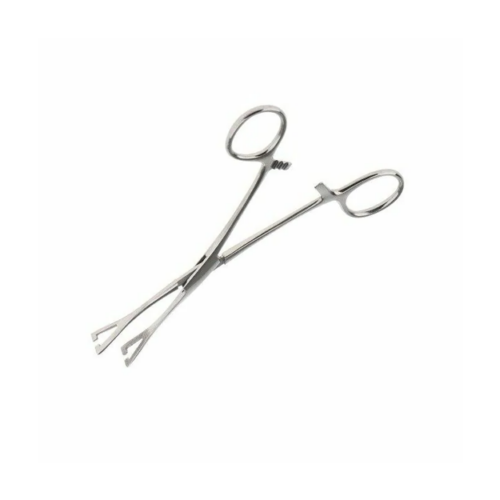 Forceps Triangular Big