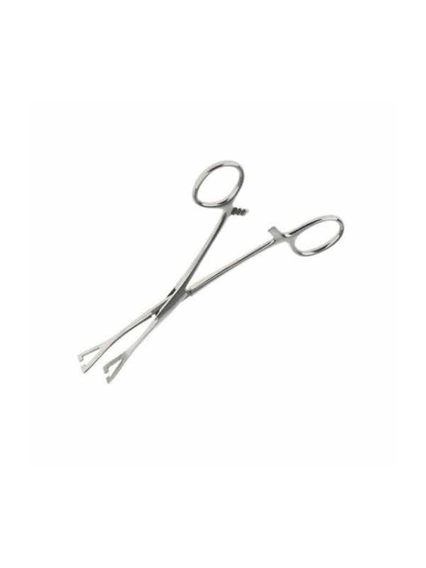 Forceps Triangular Big